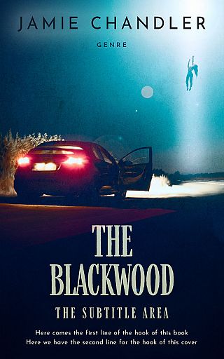 3D mockup of Loblolly #31345 - Premade Mystery & Thriller & Suspense Book Cover | BookCoverZone
