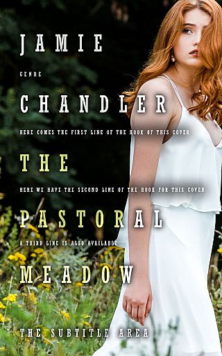 3D mockup of Moon Mist #31476 - Premade Romance Book Cover | BookCoverZone