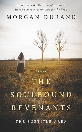 3D mockup of Judge Gray #32043 - Premade Literary Fiction Book Cover | BookCoverZone