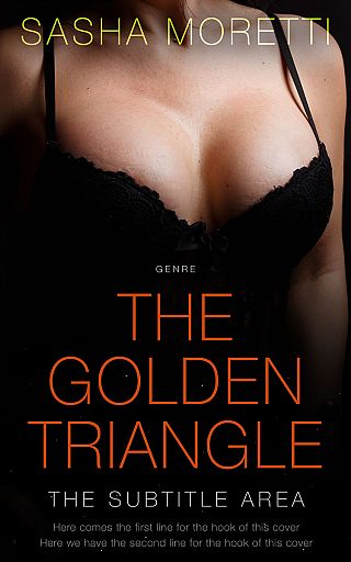 3D mockup of Night Rider #32228 - Premade Romance Book Cover | BookCoverZone