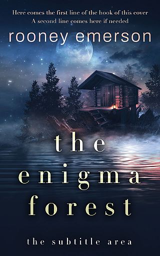 3D mockup of Big Stone #32403 - Premade Mystery & Thriller & Suspense Book Cover | BookCoverZone