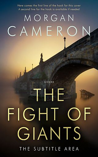 3D mockup of Tuatara #33050 - Premade Mystery & Thriller & Suspense Book Cover | BookCoverZone