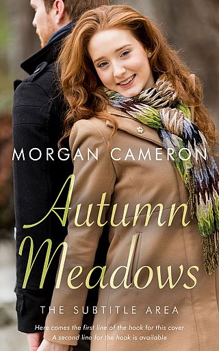 3D mockup of Shadow #33119 - Premade Romance Book Cover | BookCoverZone