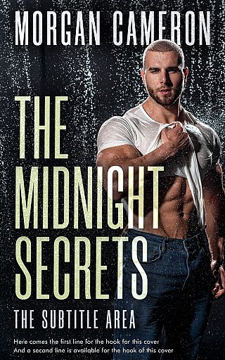 3D mockup of Foggy Gray #33173 - Premade Romance Book Cover | BookCoverZone