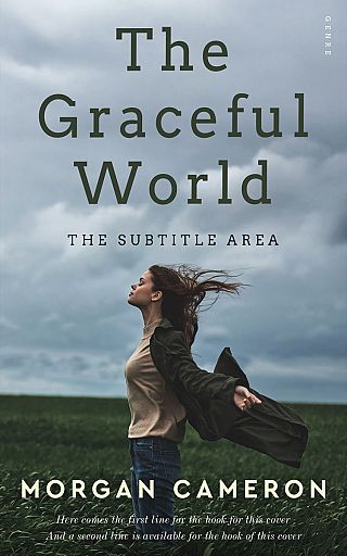 3D mockup of Gull Gray #33241 - Premade Teen & Young Adult Book Cover | BookCoverZone