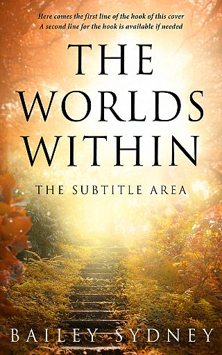 3D mockup of Brown Tumbleweed #33322 - Premade Nature Book Cover | BookCoverZone
