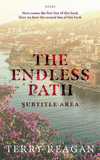 3D mockup of Heathered Gray #50025 - Premade Travel Book Cover | BookCoverZone