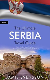 Pre Made Book Cover Wild Blue Yonder