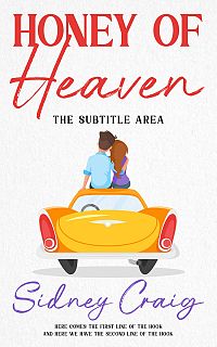 Pre Made Book Cover Wild Sand