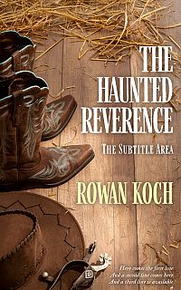 Pre Made Book Cover Spicy Mix