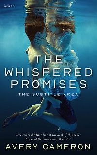 Pre Made Book Cover Big Stone