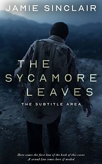 Pre Made Book Cover Mirage