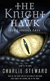 Pre Made Book Cover Chino