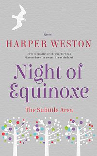 Pre Made Book Cover Silver