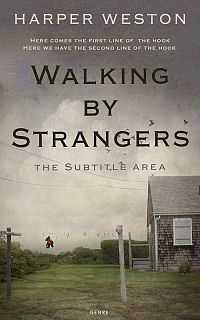 Pre Made Book Cover Flint