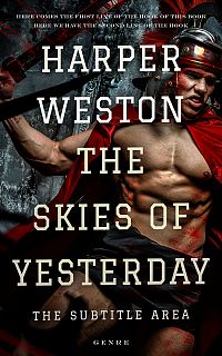 Pre Made Book Cover Rodeo Dust