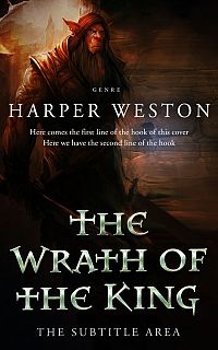 Pre Made Book Cover Night Rider