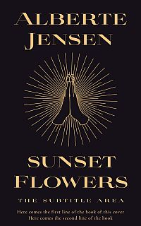 Pre Made Book Cover Cinder