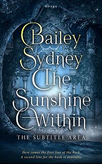 Pre Made Book Cover Big Stone