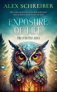 Pre Made Book Cover Blue Dianne