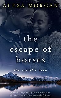 Pre Made Book Cover Big Stone