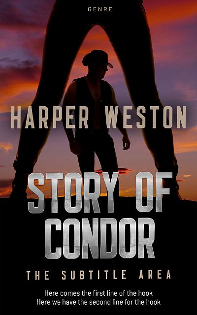 Pre Made Book Cover Gondola