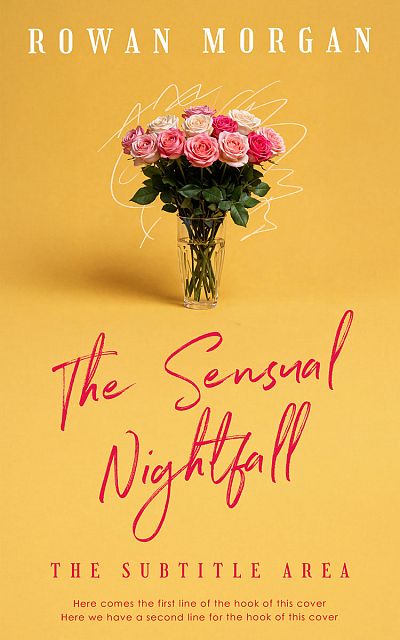 Pre Made Book Cover Ronchi