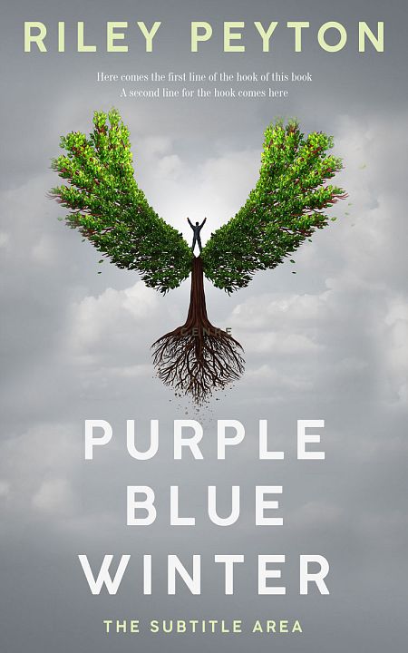 Related Premade Self-Improvement & Self-Help Book Cover: Gray Chateau #7443