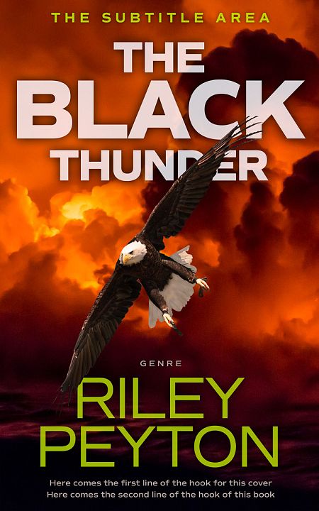 Related Premade Mystery & Thriller & Suspense Book Cover: Aubergine #7495