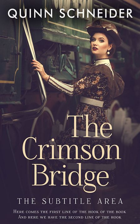 Related Premade Historical Book Cover: Ship Gray #15970