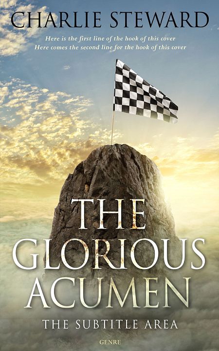 Related Premade Business Book Cover: Stack #21013