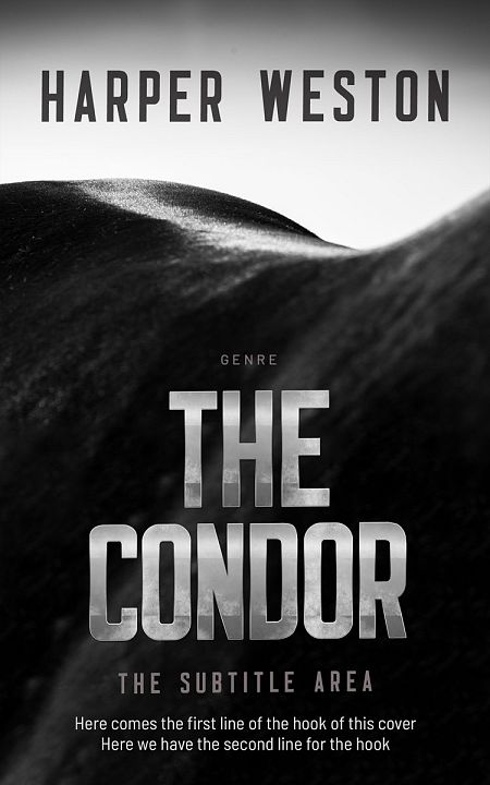 Related Premade Western Book Cover: Cod Gray #23482