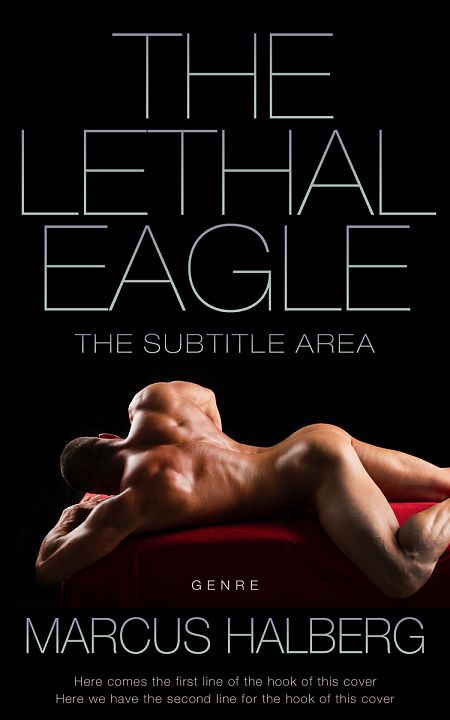 Related Premade Erotica Book Cover: Night Rider #27367