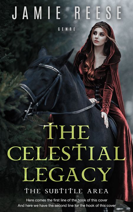 Related Premade Historical Book Cover: Woodsmoke #29733