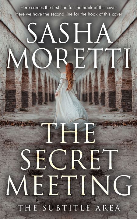 Related Premade Historical Book Cover: Flint #32211