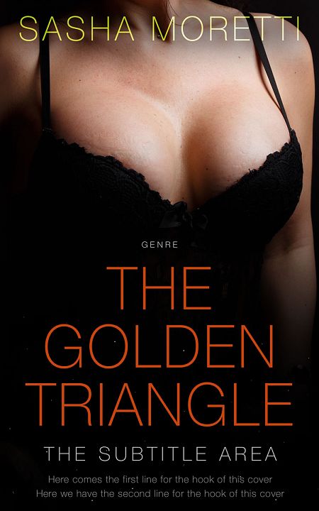 Related Premade Romance Book Cover: Night Rider #32228