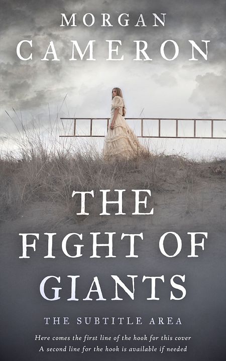 Related Premade Historical Book Cover: Scarpa Flow #33070