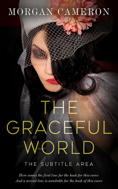 Related Premade Mystery & Thriller & Suspense Book Cover: Teak #33230